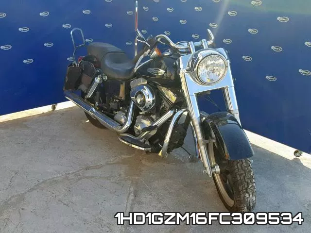 1HD1GZM16FC309534 2015 Harley-Davidson FLD, Switchback