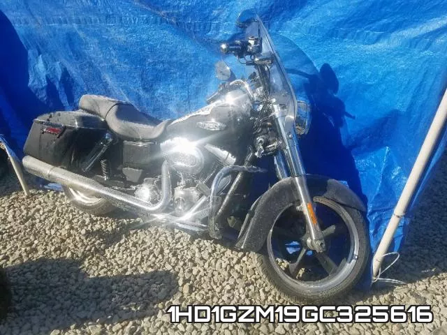 1HD1GZM19GC325616 2016 Harley-Davidson FLD, Switchback
