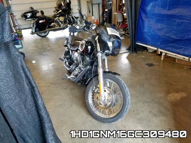 1HD1GNM16GC309480 2016 Harley-Davidson FXDL, Dyna Low Rider