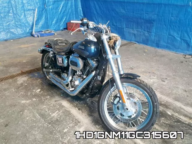 1HD1GNM11GC315607 2016 Harley-Davidson FXDL, Dyna Low Rider